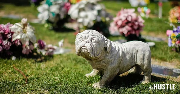 Dog sales funeral costs